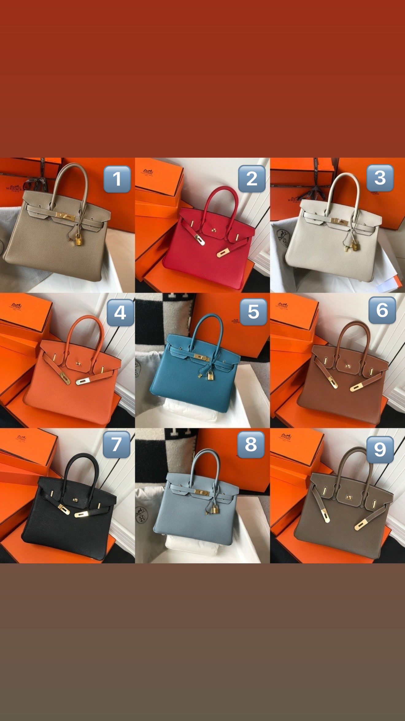 Togo Leather Handbag