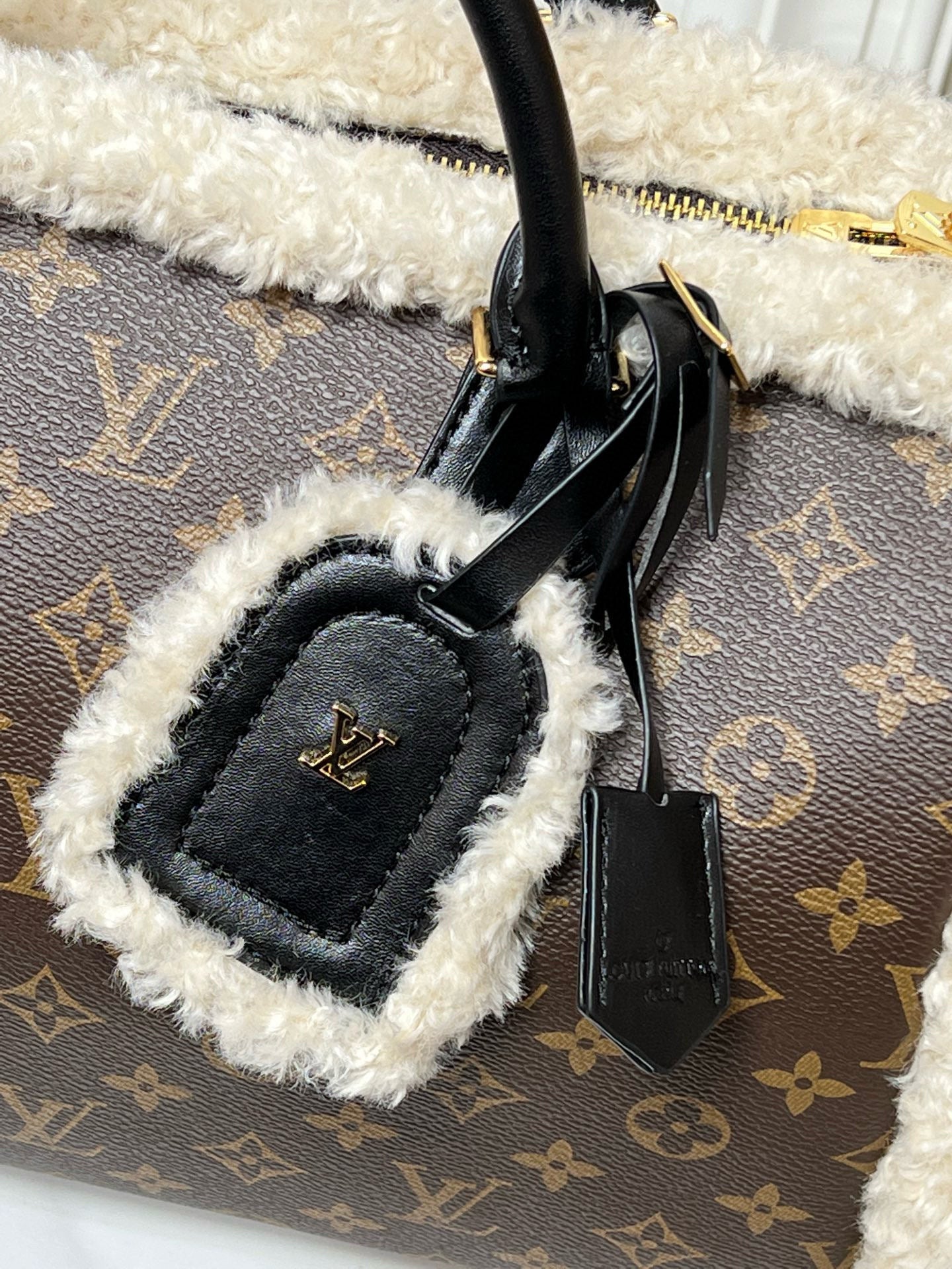 Fur Speedy